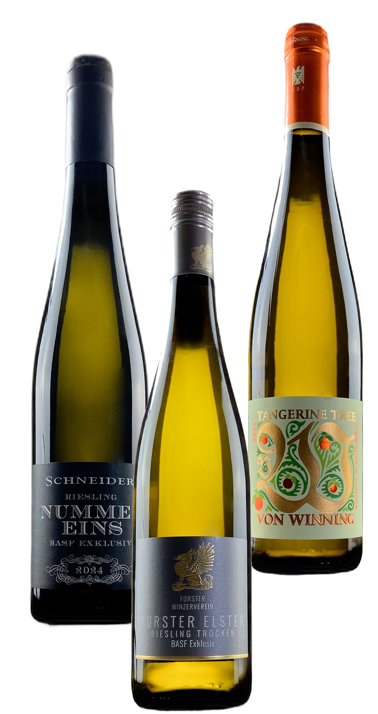 M202601SG - Riesling BASF Exklusiv Palatinate wine box (12 Bottles)